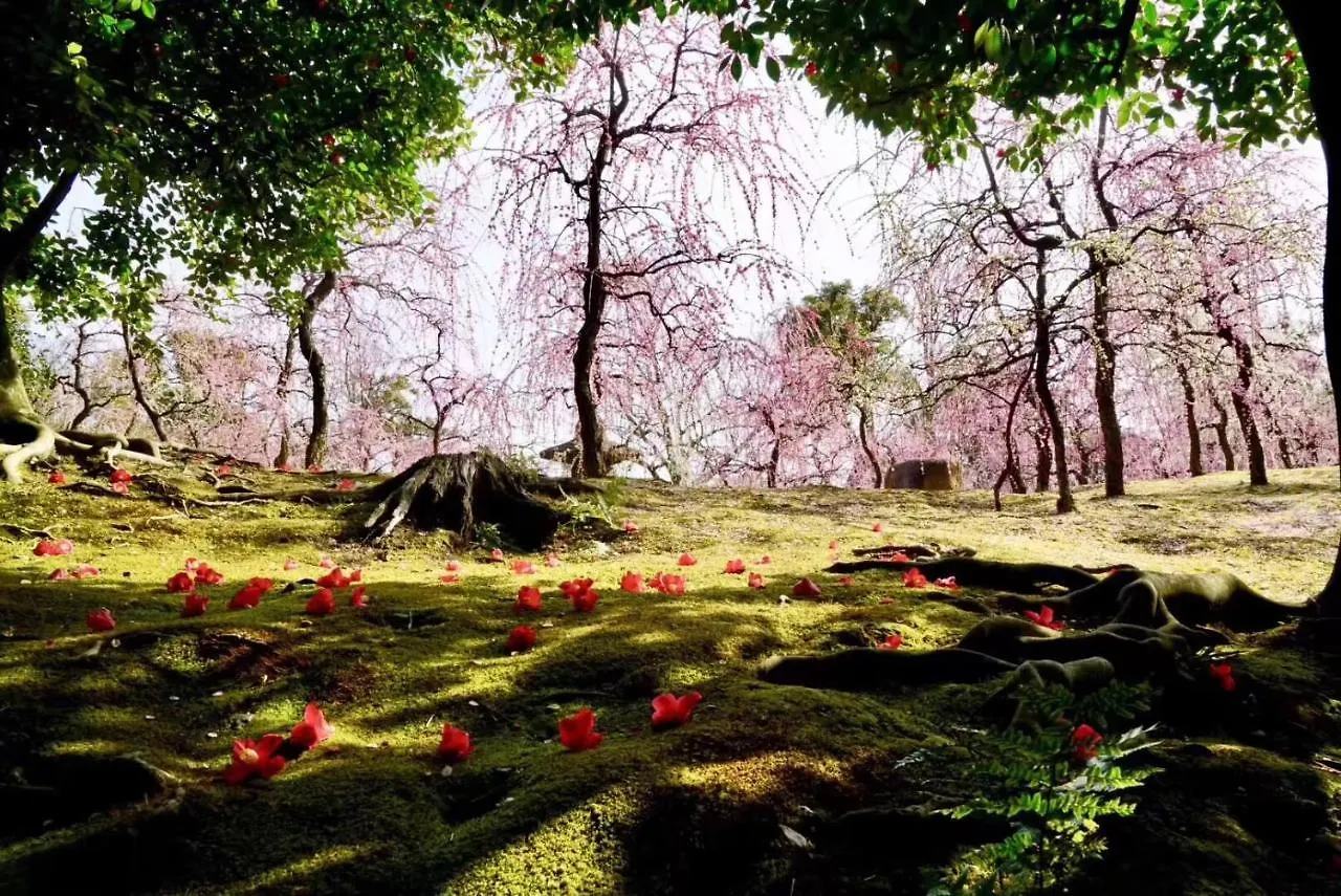 京都東福寺 逸苑